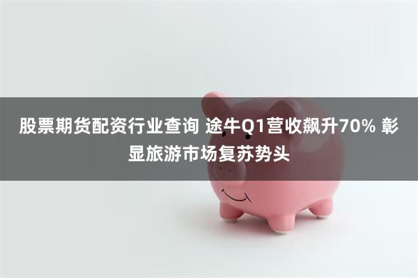 股票期货配资行业查询 途牛Q1营收飙升70% 彰显旅游市场复苏势头