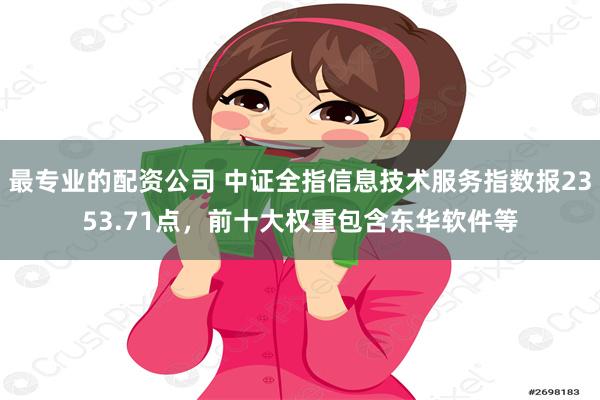 最专业的配资公司 中证全指信息技术服务指数报2353.71点，前十大权重包含东华软件等