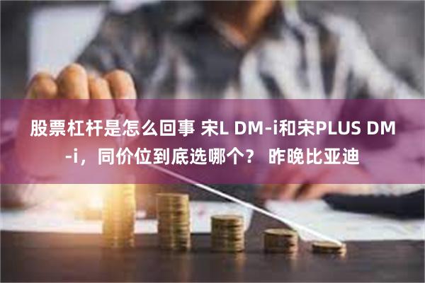 股票杠杆是怎么回事 宋L DM-i和宋PLUS DM-i，同价位到底选哪个？ 昨晚比亚迪