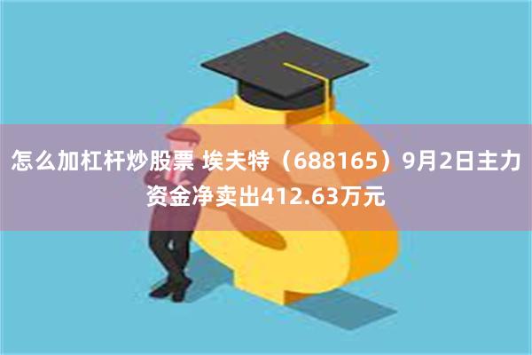 怎么加杠杆炒股票 埃夫特（688165）9月2日主力资金净卖出412.63万元