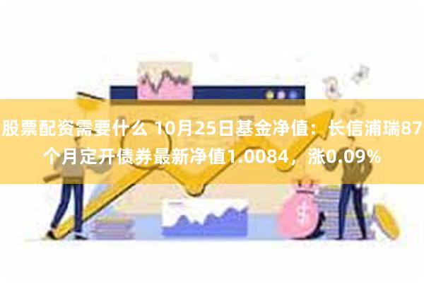 股票配资需要什么 10月25日基金净值：长信浦瑞87个月定开债券最新净值1.0084，涨0.09%