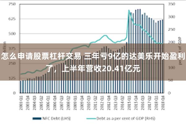 怎么申请股票杠杆交易 三年亏9亿的达美乐开始盈利了，上半年营收20.41亿元