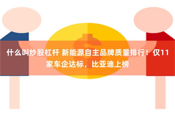 什么叫炒股杠杆 新能源自主品牌质量排行！仅11家车企达标，比亚迪上榜